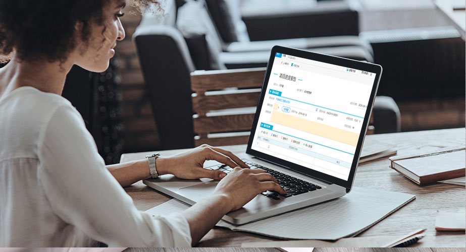 項(xiàng)目協(xié)同解決方案11