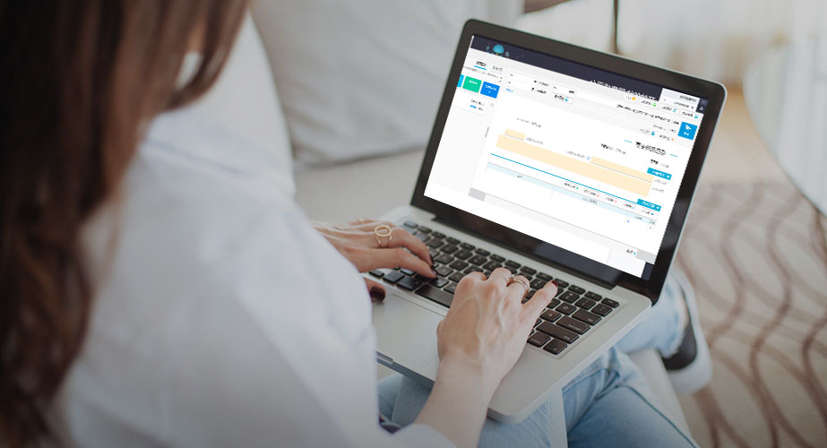 項(xiàng)目協(xié)同解決方案12